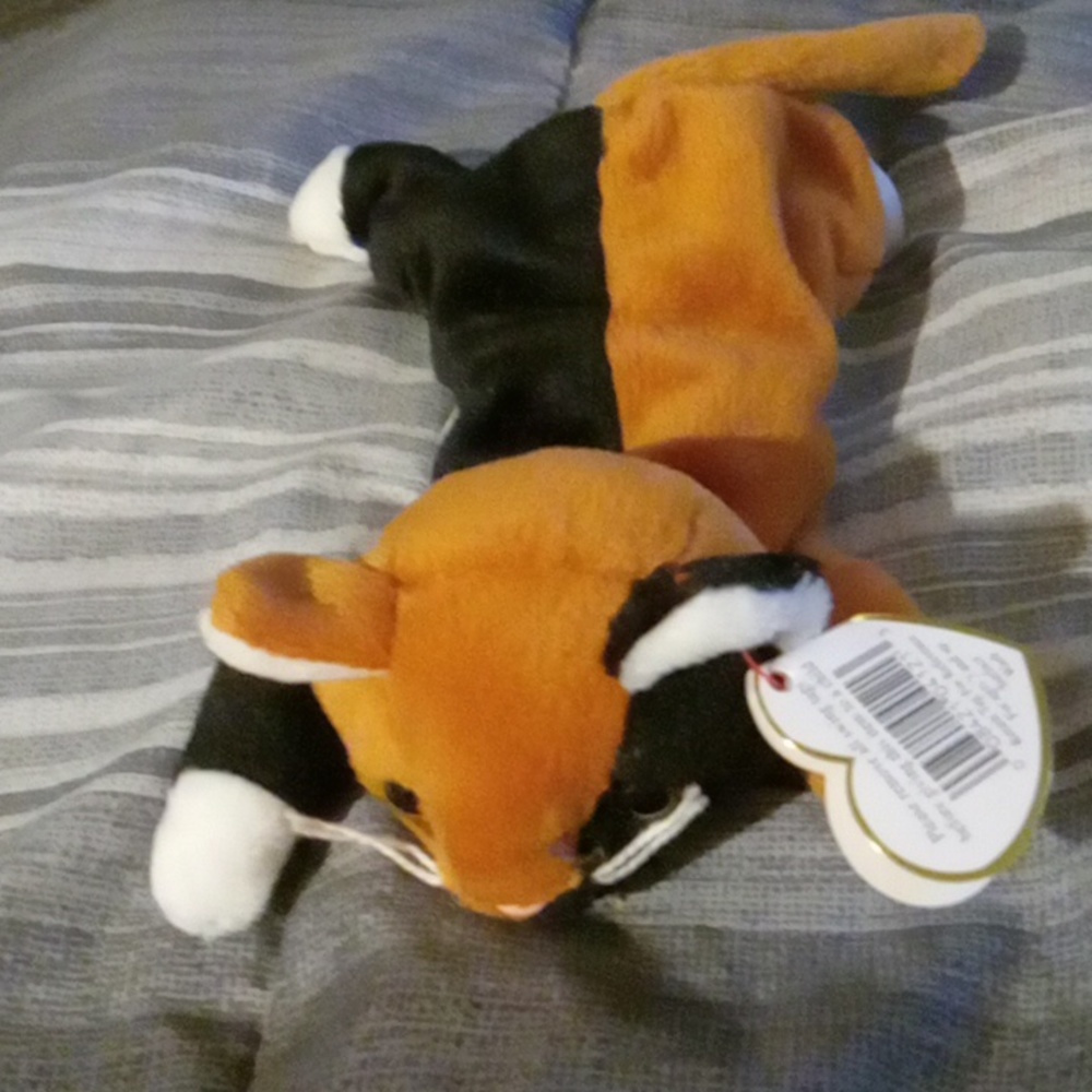 Beanie baby